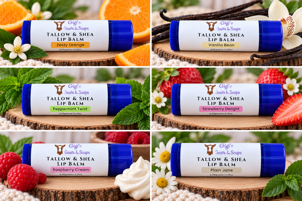 Tallow & Shea Lip Balm