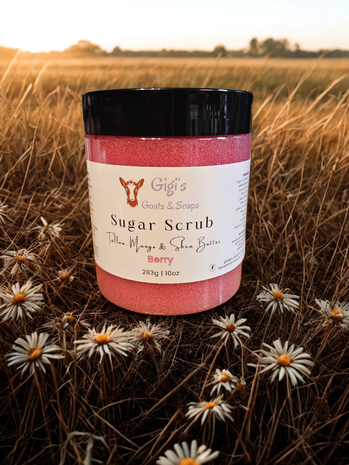 Gigi’s Sugar Scrub – Tallow, Mango & Shea Butter